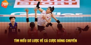 Cá cược bóng chuyền 789bet